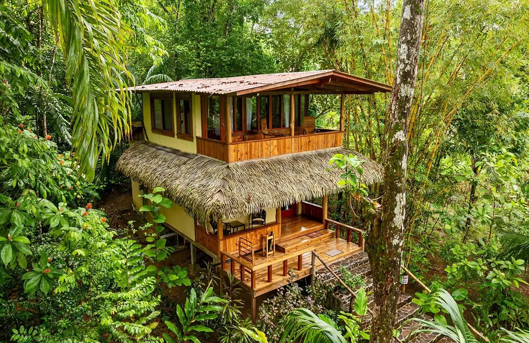 Copa De Arbol Beach & Rainforest Resort-1