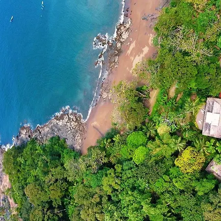 Copa De Arbol Beach & Rainforest Resort-2